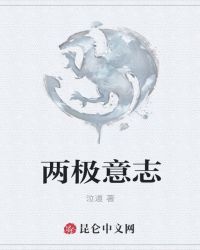 两极意志封面