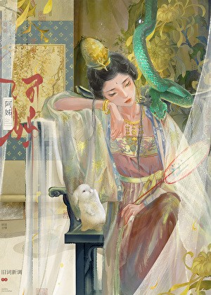 阿姊为妻封面