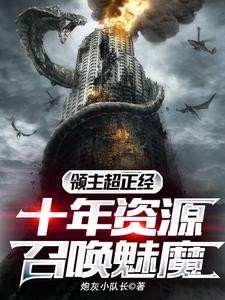 领主超正经，十年资源召唤魅魔封面