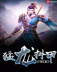 猛龙抖甲封面
