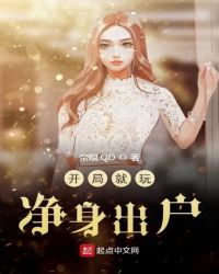 开局就玩净身出户封面