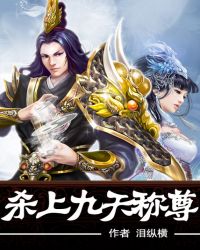 杀上九天称尊封面