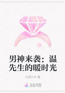 男神来袭:温先生的暖时光封面