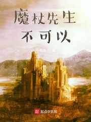 魔杖先生不可以封面