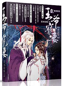 王爷宠妻要逆天封面