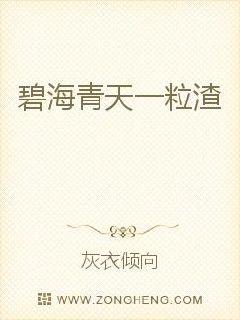 碧海青天一粒渣封面