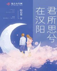 君所思兮在汉阳封面