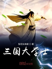 三国大学士封面
