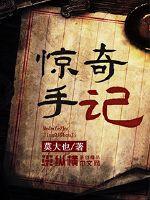 惊奇手记封面