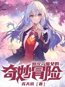 异次元魔女的奇妙冒险封面