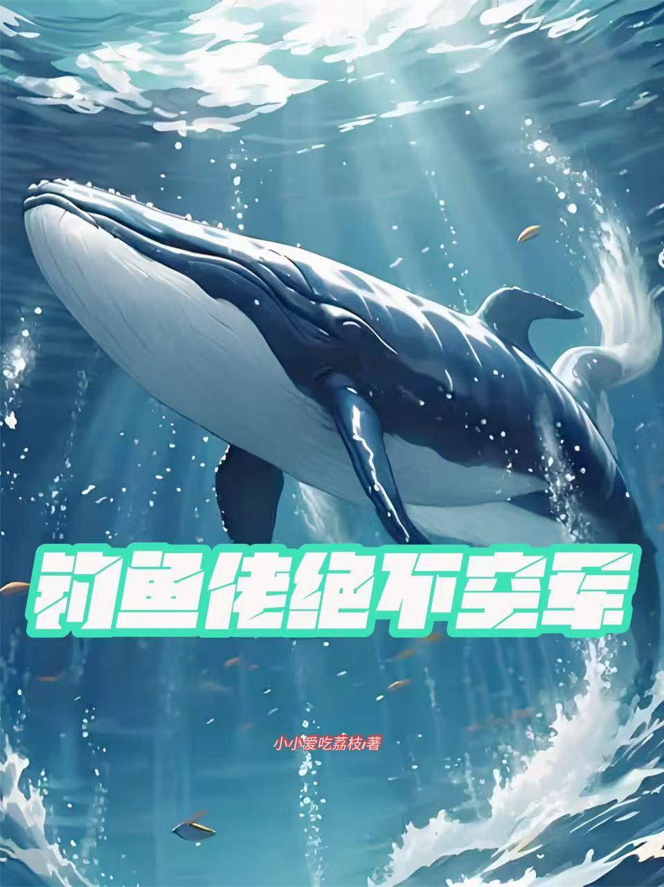 钓鱼佬绝不空军封面