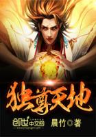 独尊天地封面