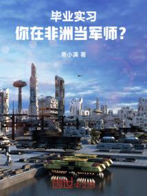 毕业实习,你在非洲当军师?封面