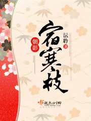 朝影宿寒枝封面