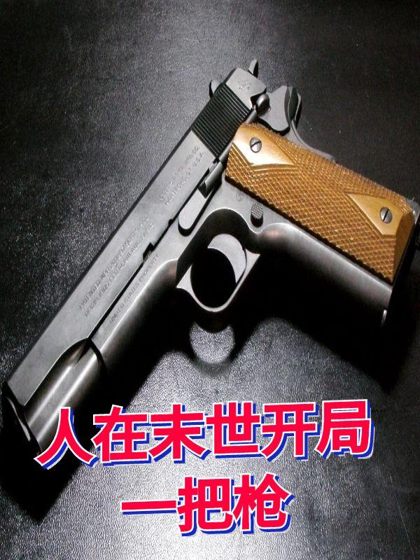 人在末世开局一把枪封面