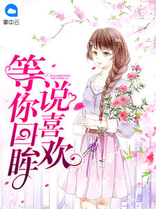 等你回眸说喜欢封面
