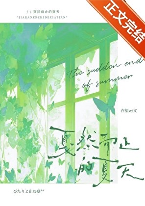 戛然而止的夏天封面