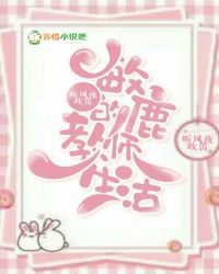 敏鹿的教师生活封面