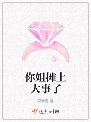 你姐摊上大事了封面