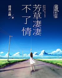 芳草凄凄不了情封面