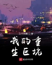 我的重生巨坑封面