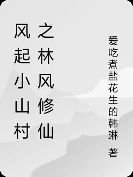 风起小山村之林风修仙封面