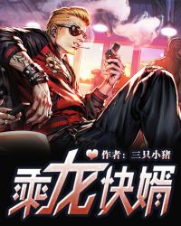 乘龙快婿封面
