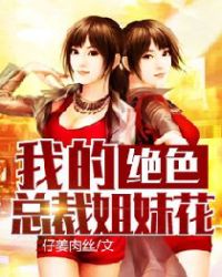 我的绝色总裁姐妹花封面