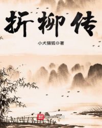 折柳传封面