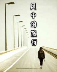 风中的旅行封面