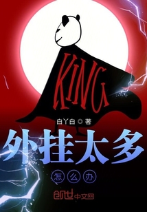 外挂太多怎么办封面