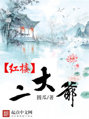 红楼二大爷封面