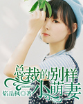 总裁的别样小萌妻封面