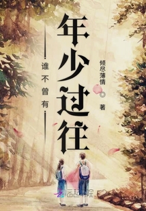 谁不曾有年少过往封面