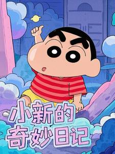 小新的奇妙日记封面