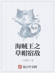 海贼王之草帽宿敌封面