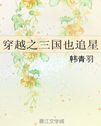 穿越之三国也追星封面