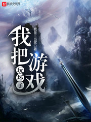 我把游戏玩坏了封面