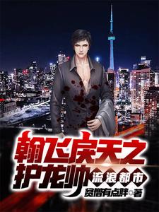 翰飞戾天之护龙帅流浪都市封面