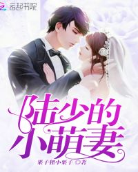 盛世宠爱：总裁大佬的小娇妻封面