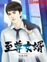 至尊女婿封面