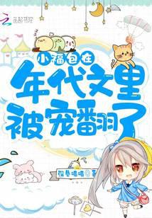 小福包在年代文里被宠翻了封面