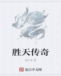 胜天传奇封面