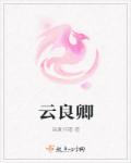 云良卿封面