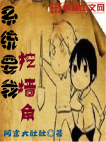 系统要我挖墙角封面