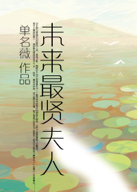 未来最贤夫人封面