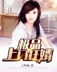 极品上门狂婿封面