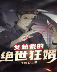 女总裁的绝世狂婿封面