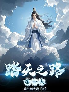 踏天之路第一人封面