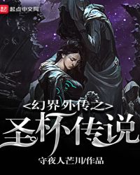 幻界外传之圣杯传说封面